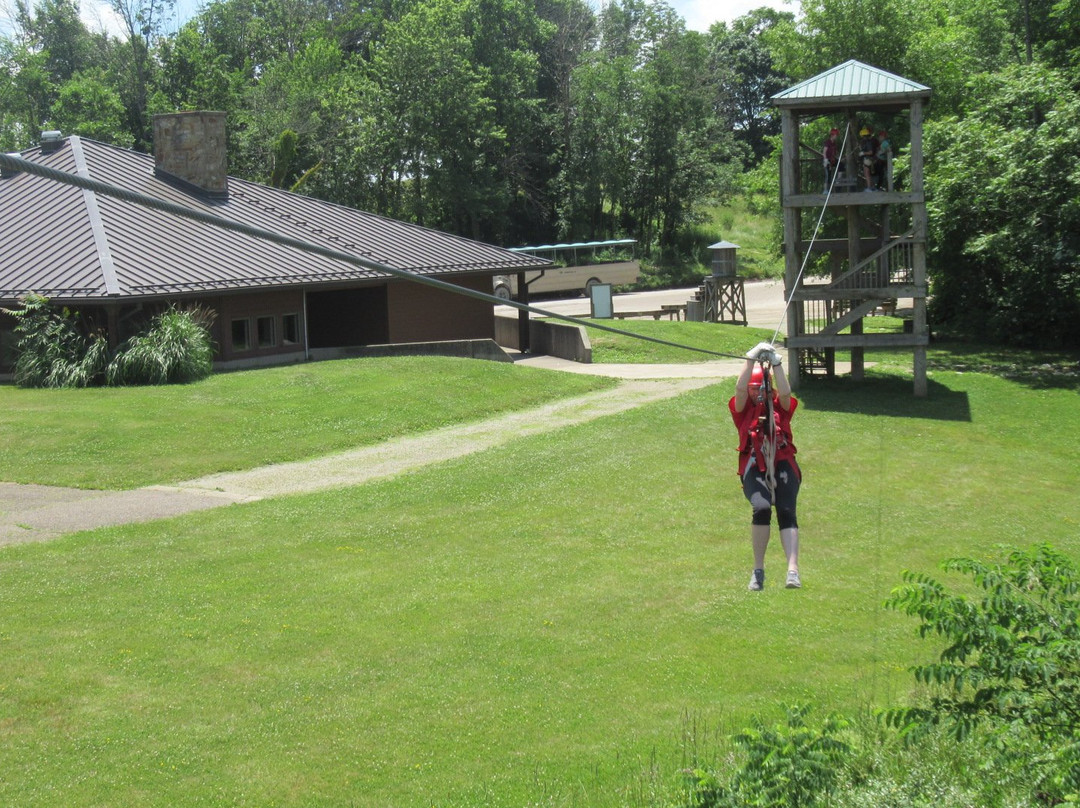 Wild Zipline Safari-Cumberland必去景点