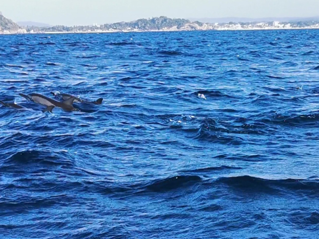 Trinco Water Sport Tours-Trincomalee必去景点