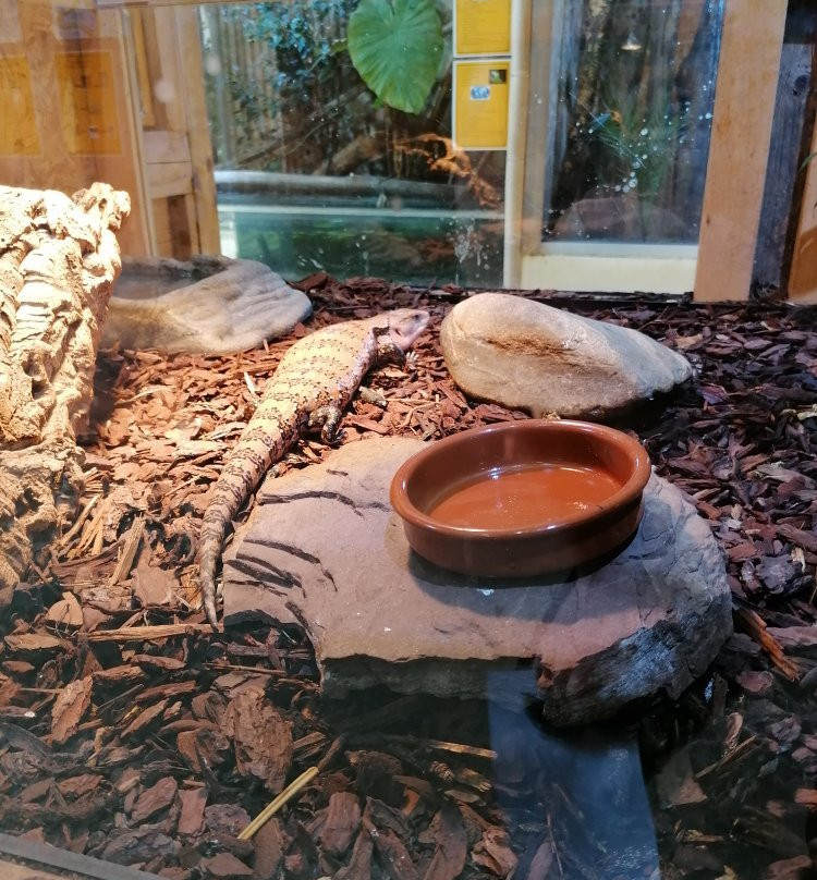 Espace Zoologique Exoticamis景点图片