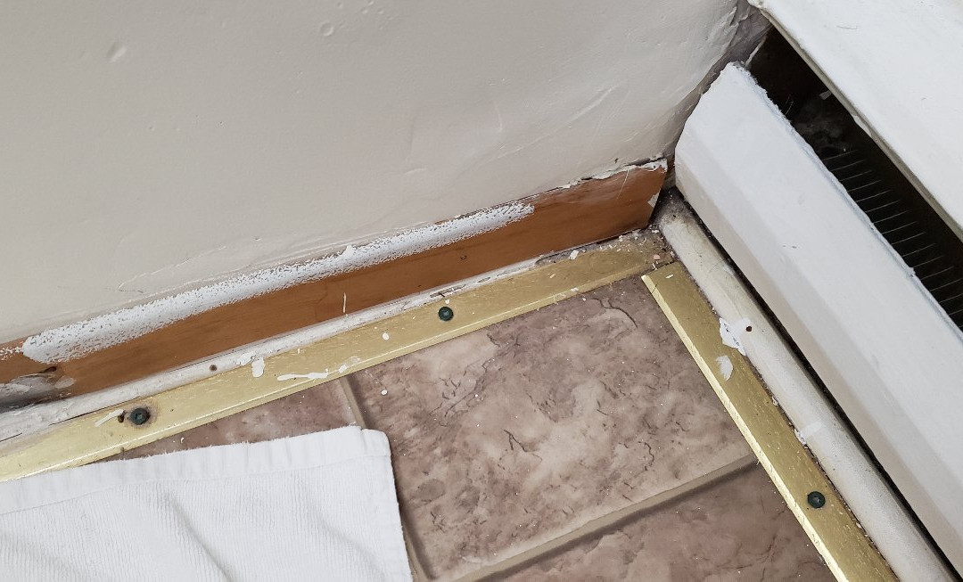 Maplewood Motel主图