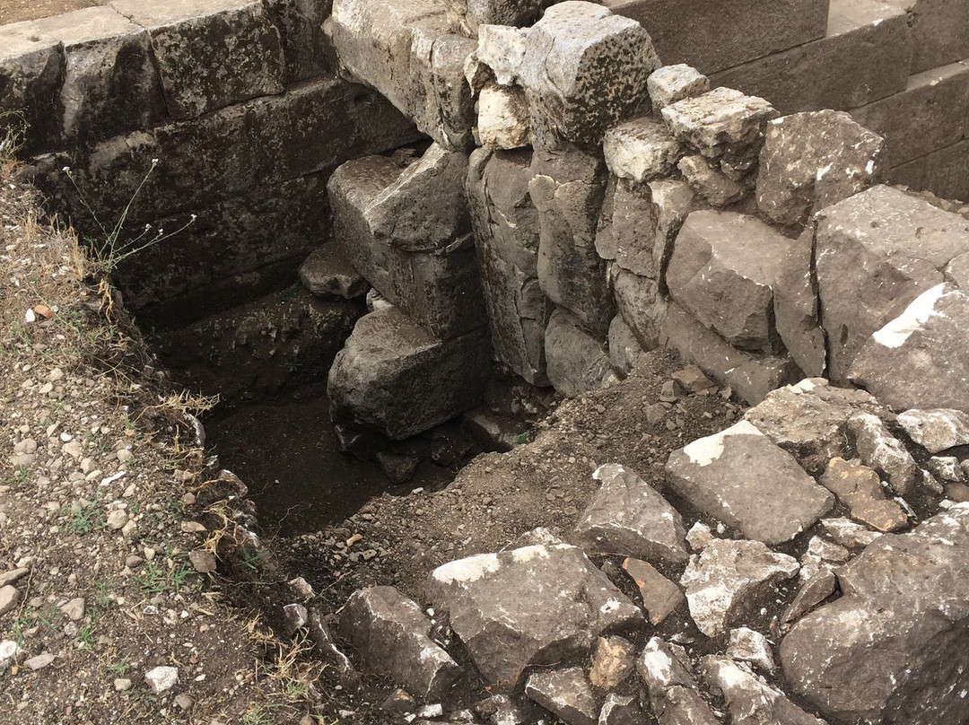 Orikum Archaeological Park-Orikum必去景点