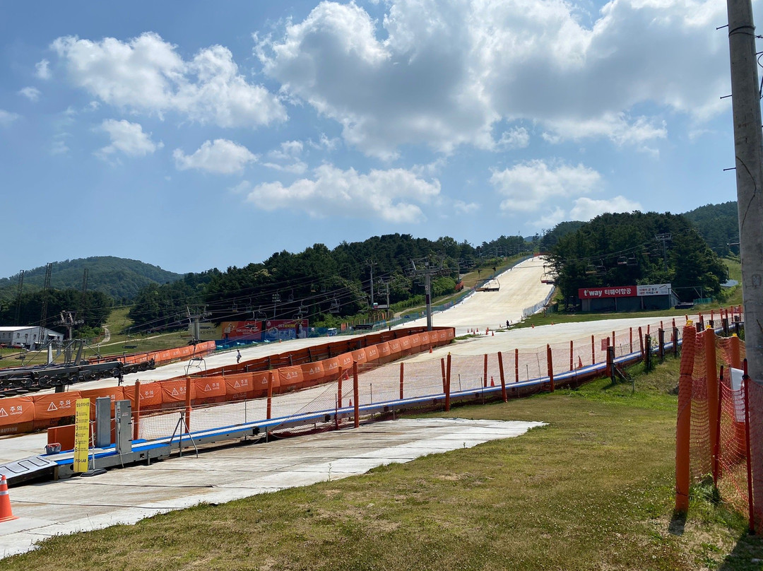 Bears Town Resort-抱川市必去景点