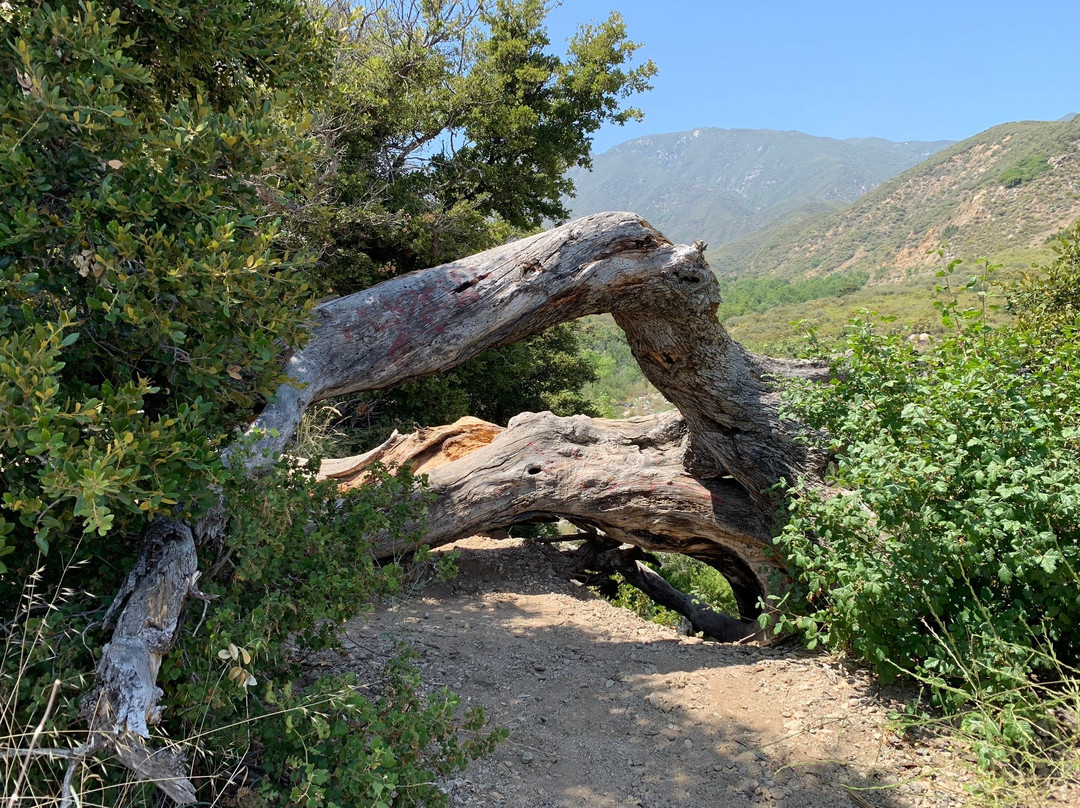 Bonita Falls Trail-Lytle Creek必去景点