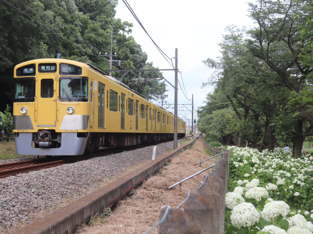 Kitayama Park-东村山市必去景点
