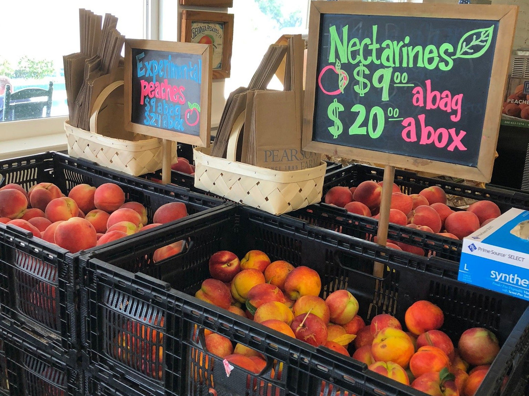 Pearson Farm-Fort Valley必去景点