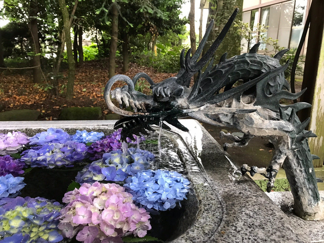 Imamiya Shrine-樱市必去景点