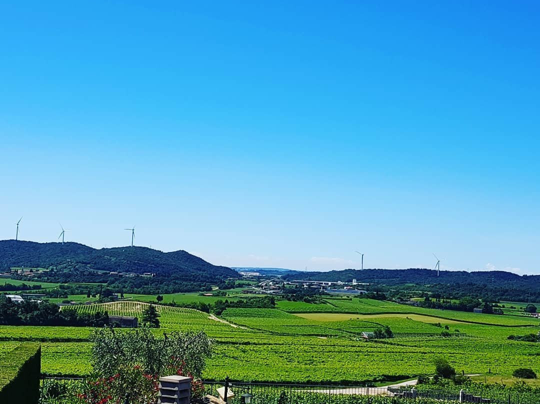 Monte Zovo Azienda Agricola景点图片
