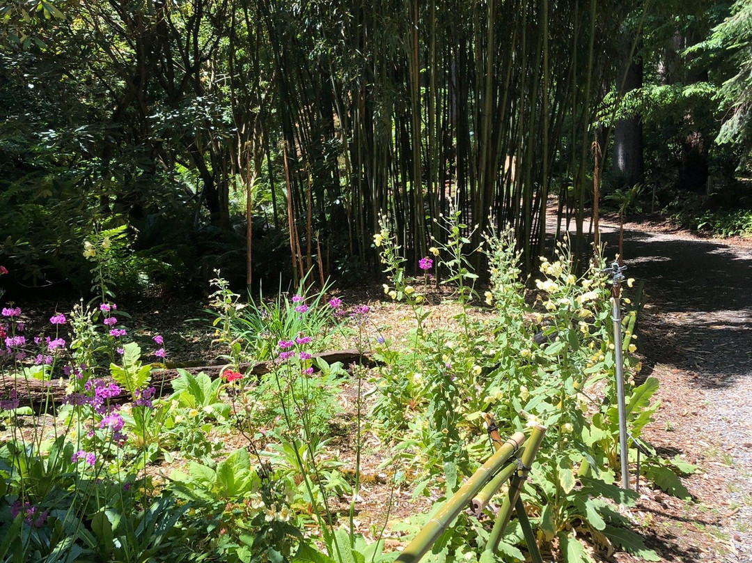 Rhododendron Species Botanical Garden景点图片