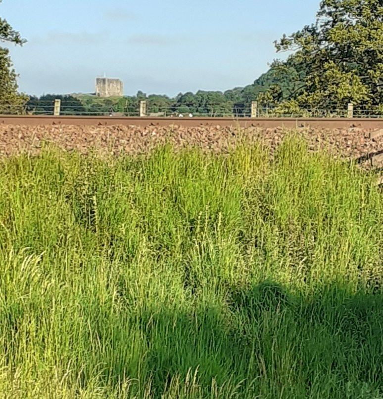 Shewalton Wood-Irvine必去景点