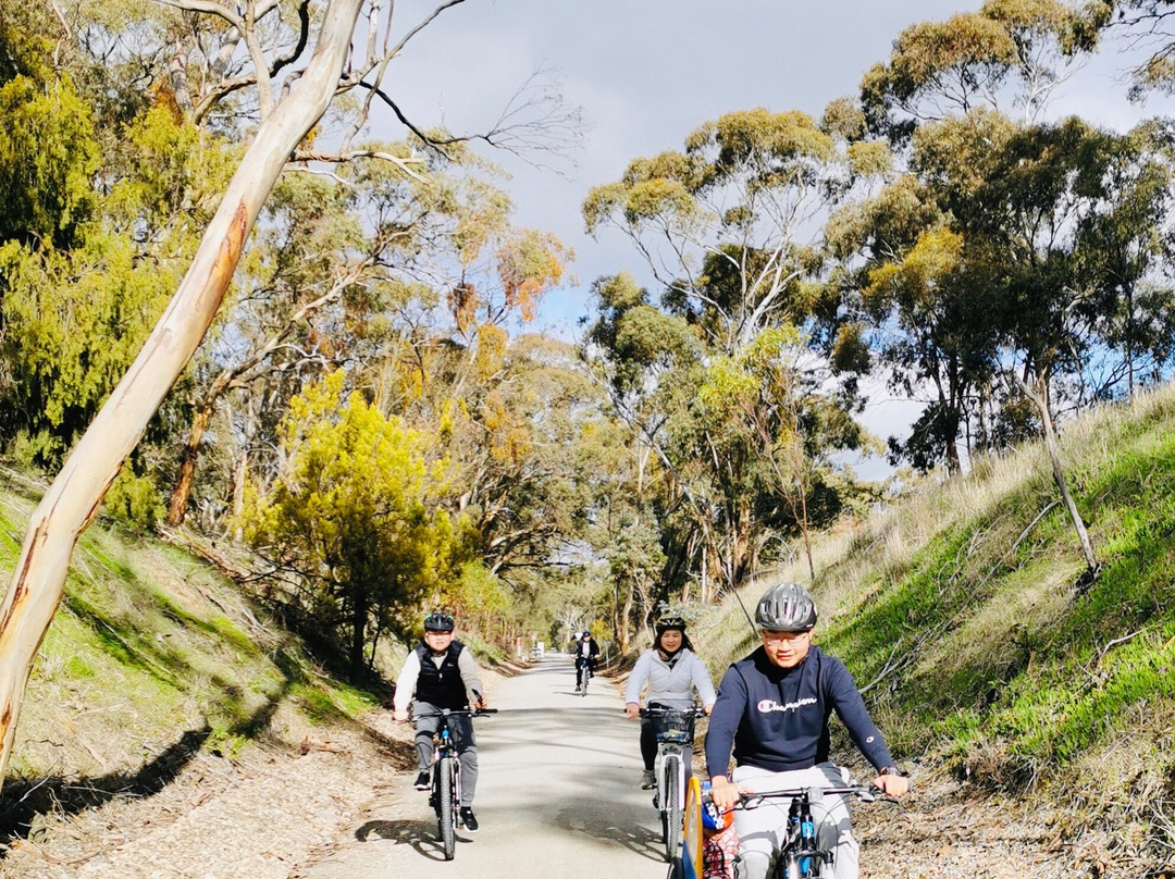Clare Valley Cycle Hire-克莱尔必去景点