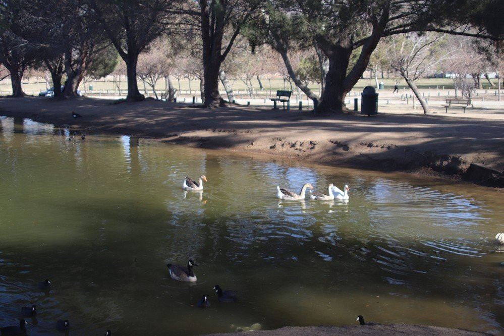 Hesperia Lake-希斯皮里亚必去景点