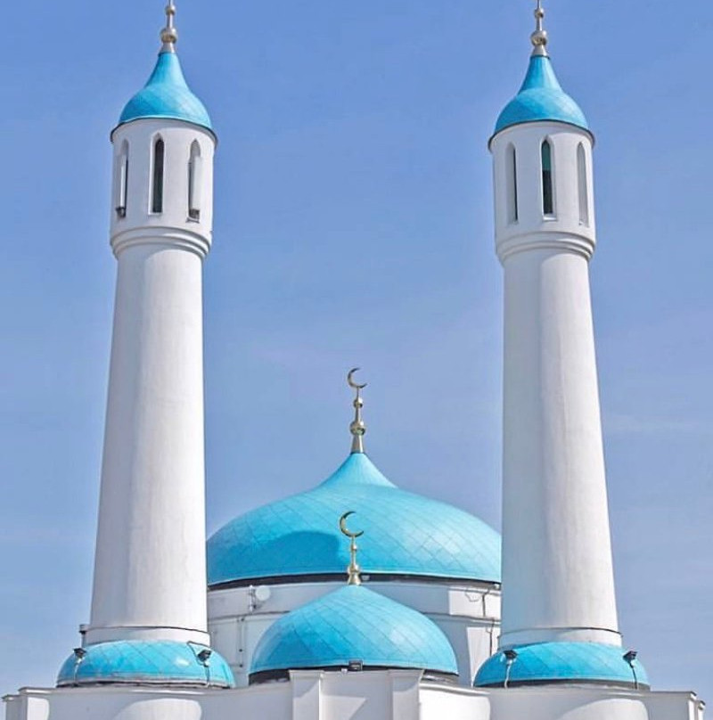 Shamil Mosque景点图片
