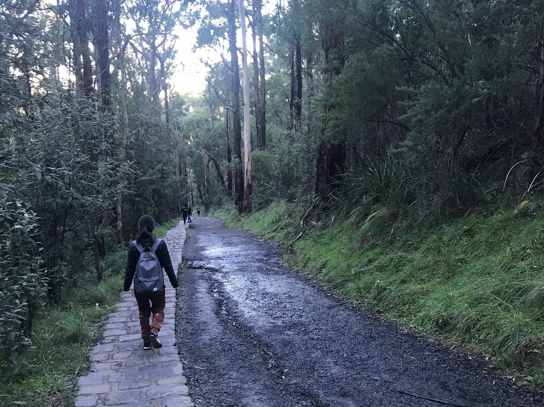 Kokoda Trail Memorial Walk景点图片