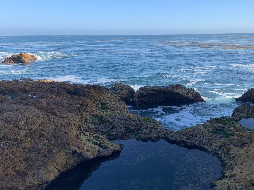 Pirate's Cove Beach景点图片