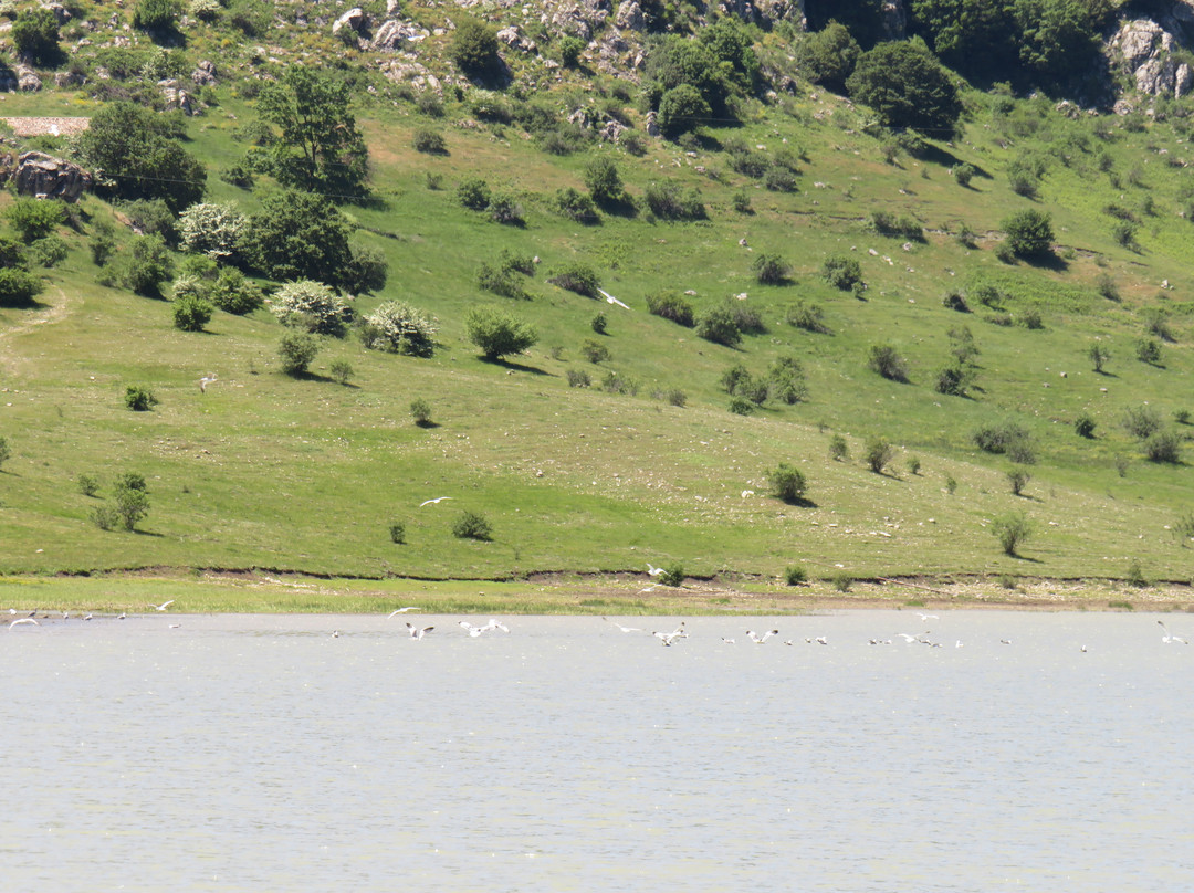 Lago Trearie-Randazzo必去景点