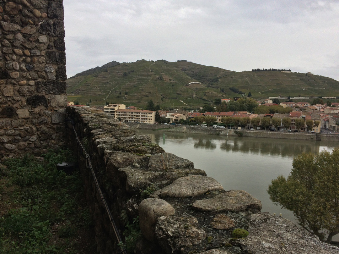 Château-musée De Tournon Sur Rhône景点图片