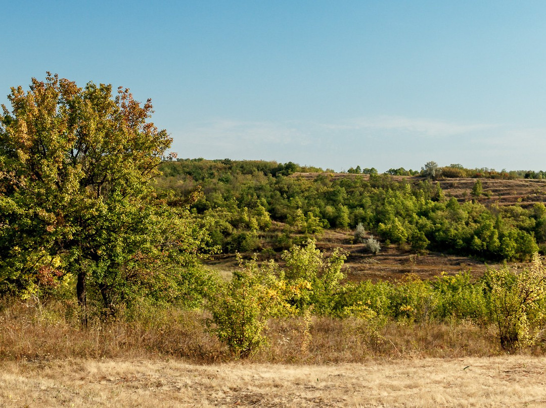 Riscani District旅游攻略图片