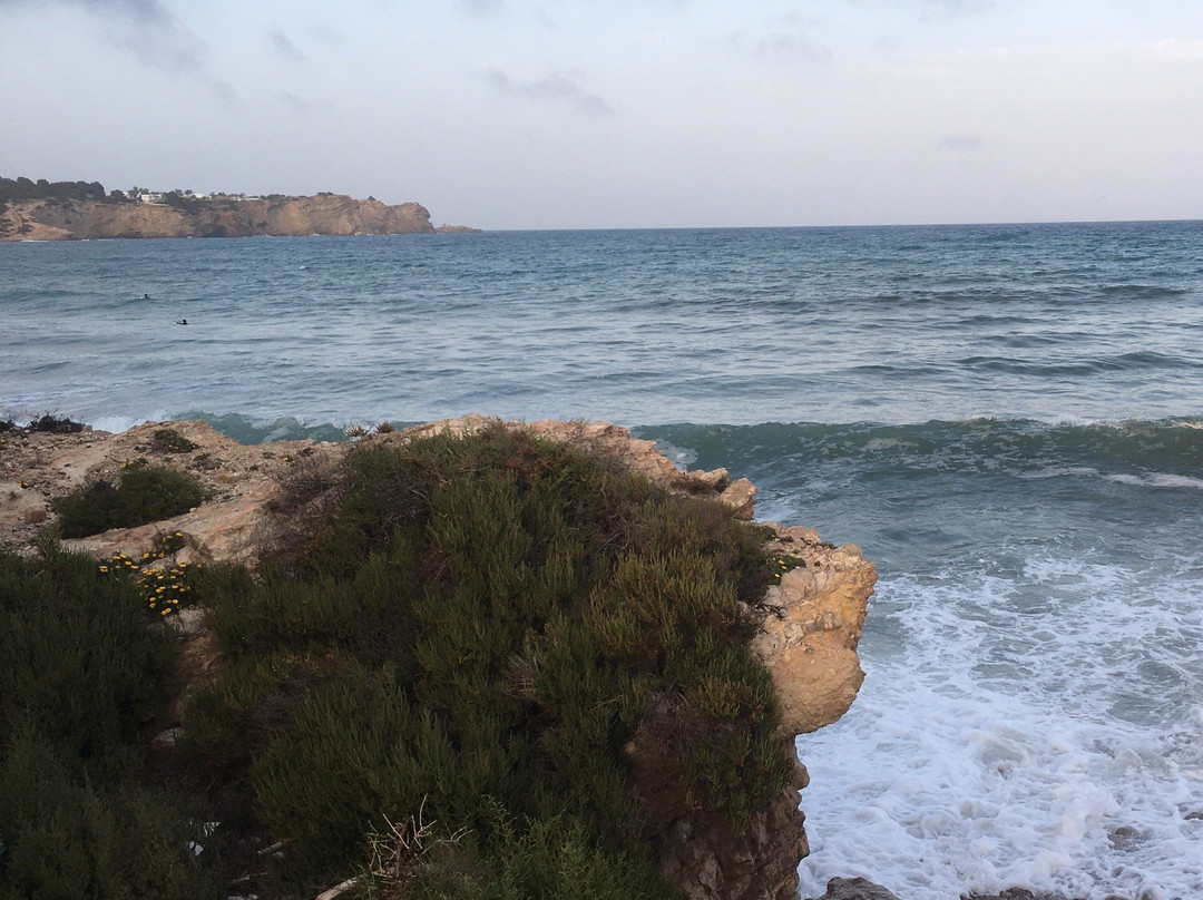 Ibiza My Tours-伊维萨城区必去景点