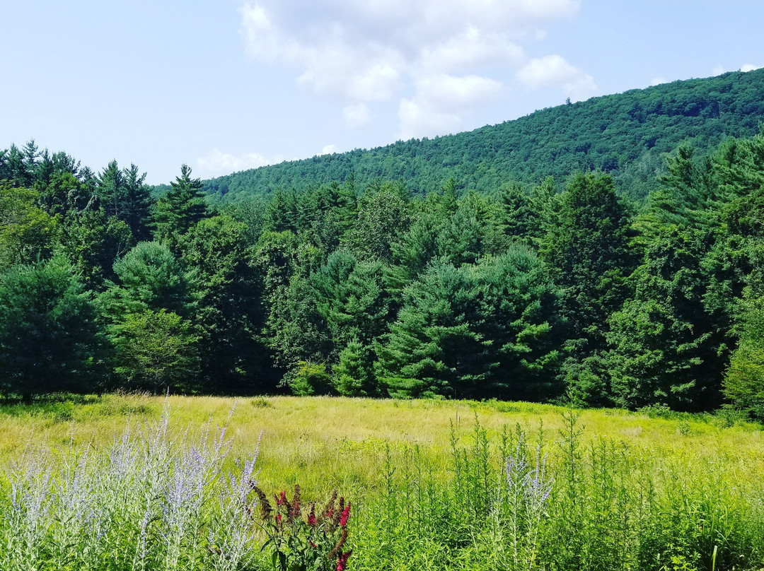 Woodstock Country Inn主图