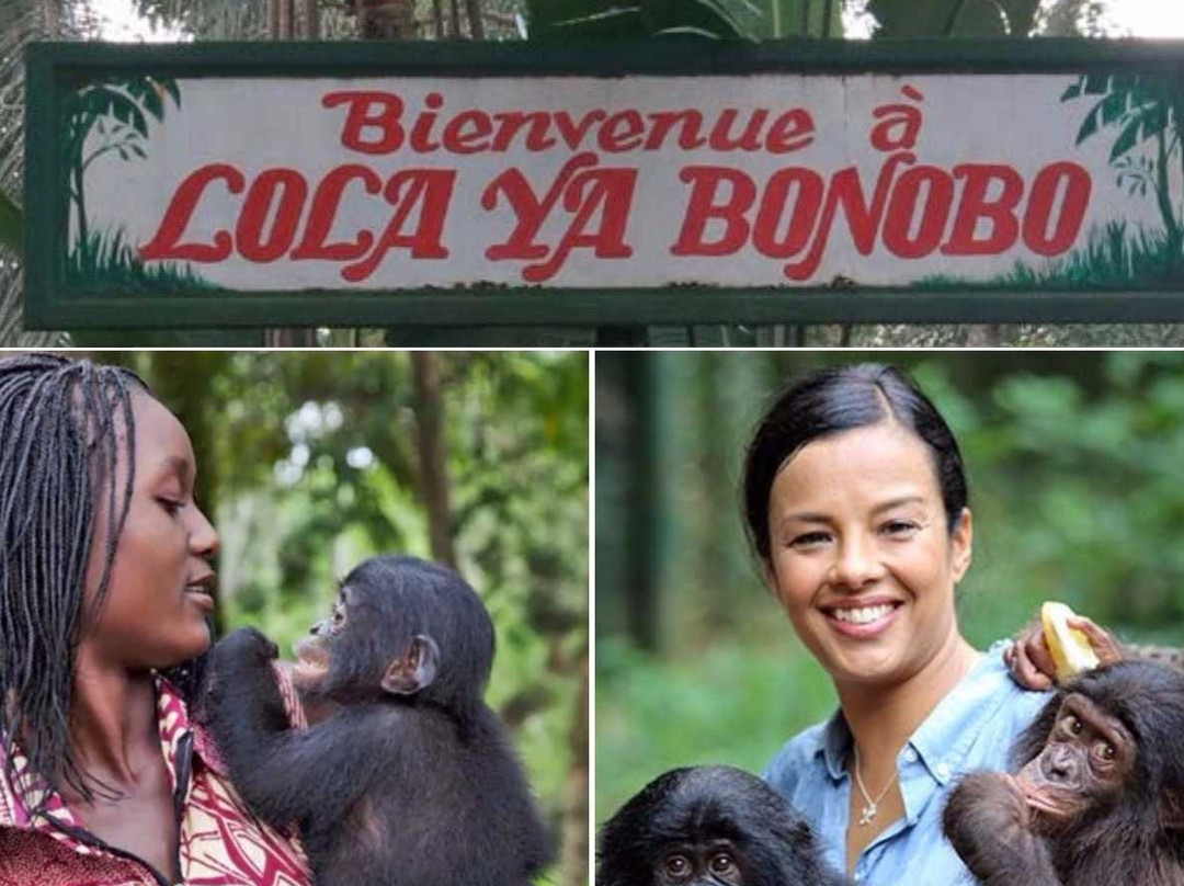 Lola ya Bonobo Sanctuary景点图片