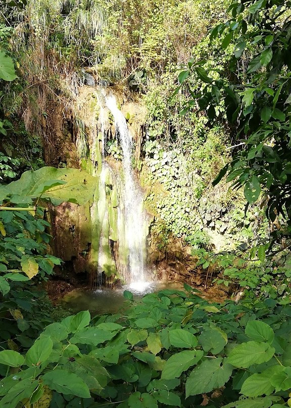 El Nicho Waterfalls景点图片