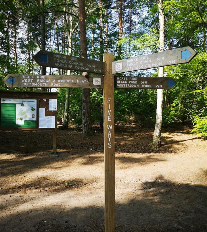 Esher Common-Esher必去景点