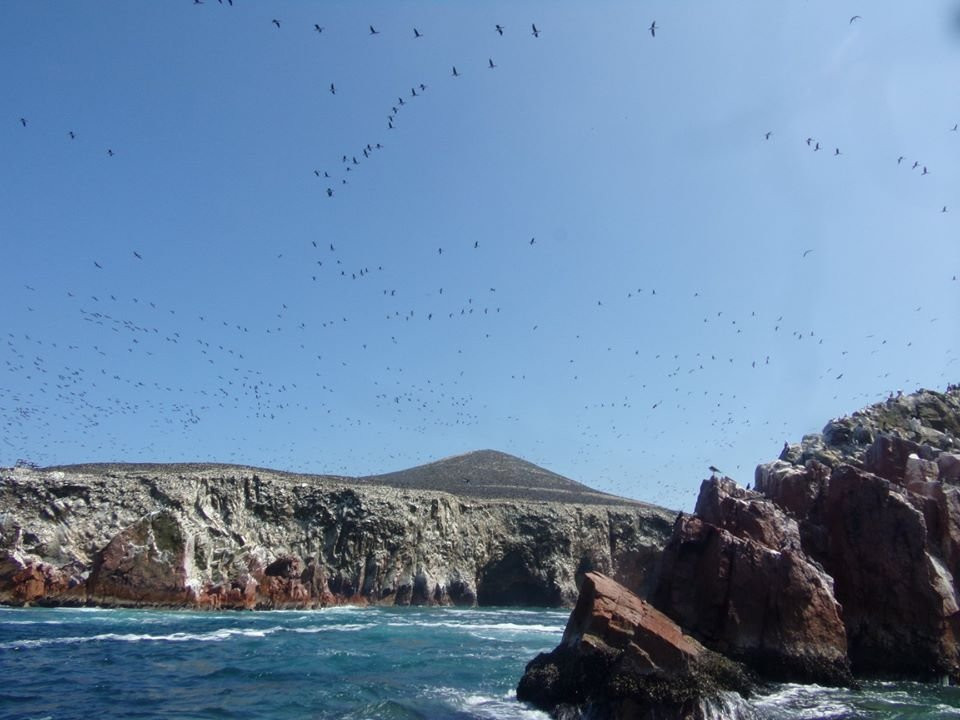 Freedom Park-帕拉卡斯必去景点