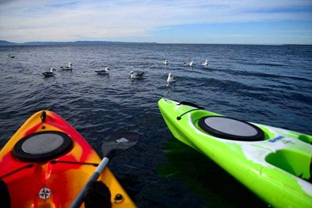 Edge of the Arctic-Thorshofn必去景点