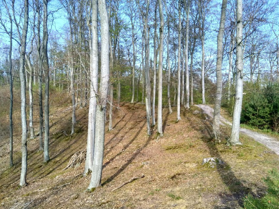 Trojmiejski Landscape Park景点图片