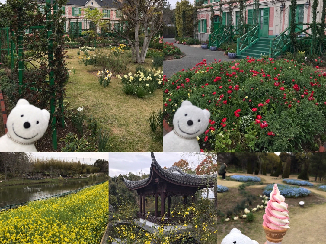 滨松花卉公园景点图片