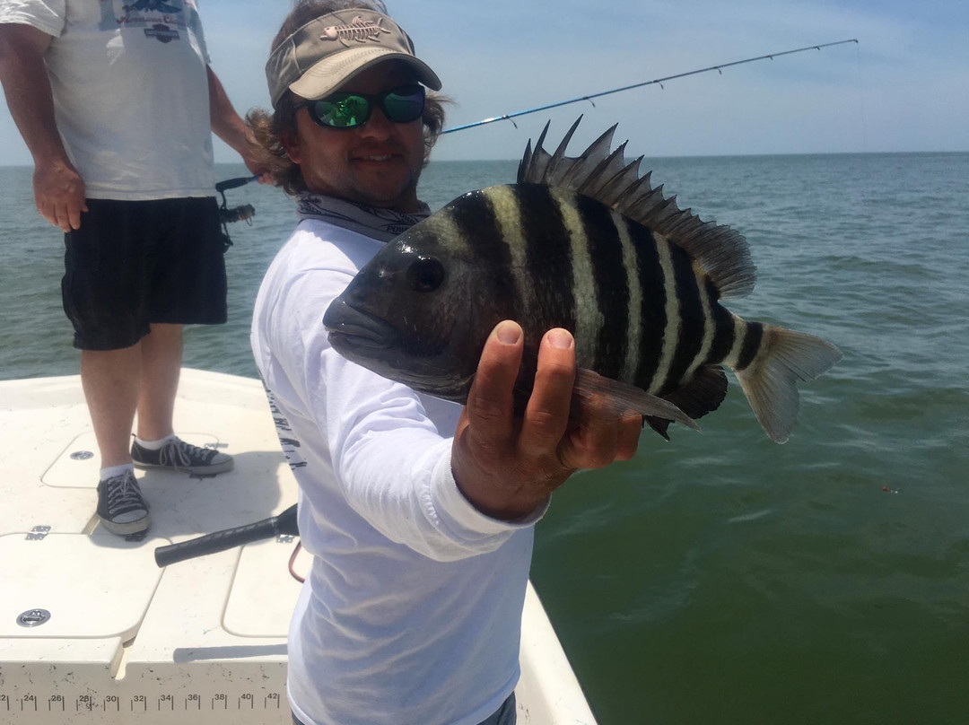 Reel Florida Fishing Charters-克里斯特尔里弗必去景点