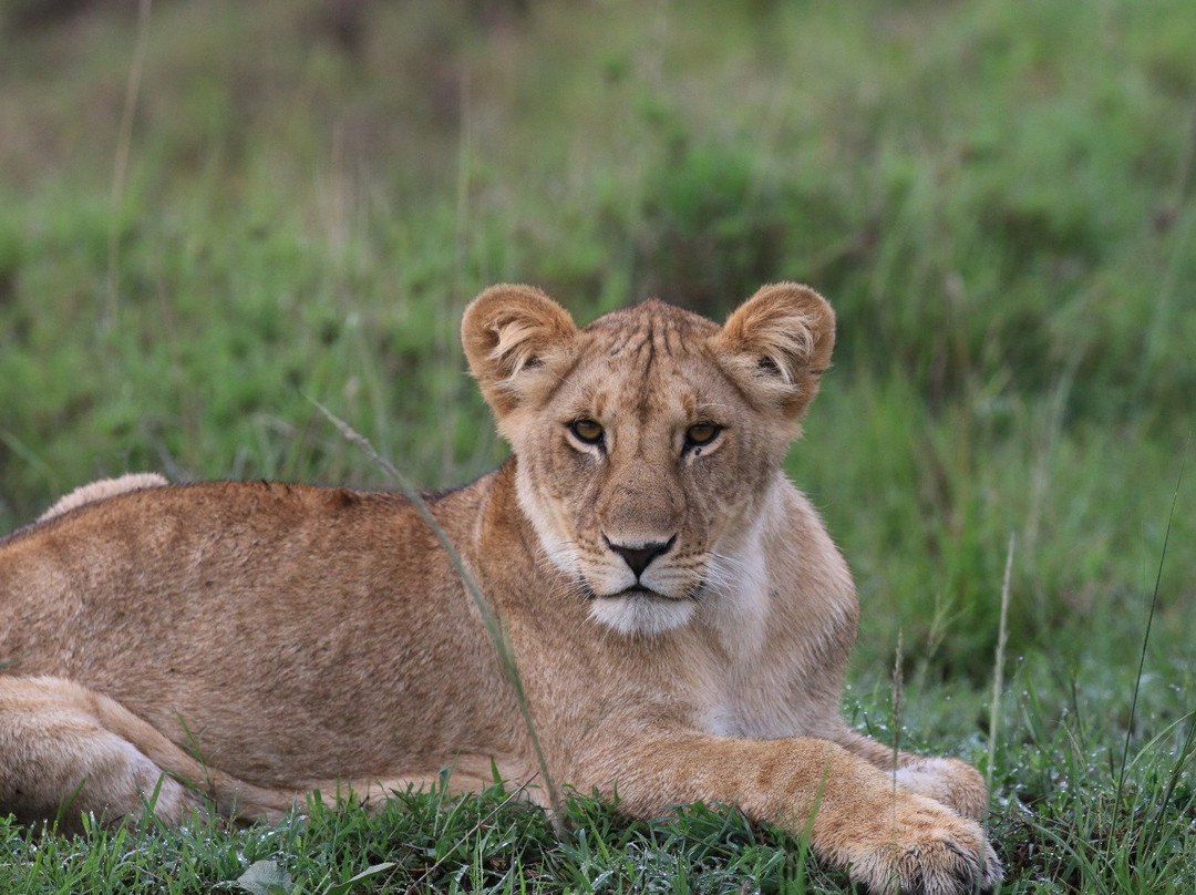 Wild Experience Africa-Wakiso必去景点