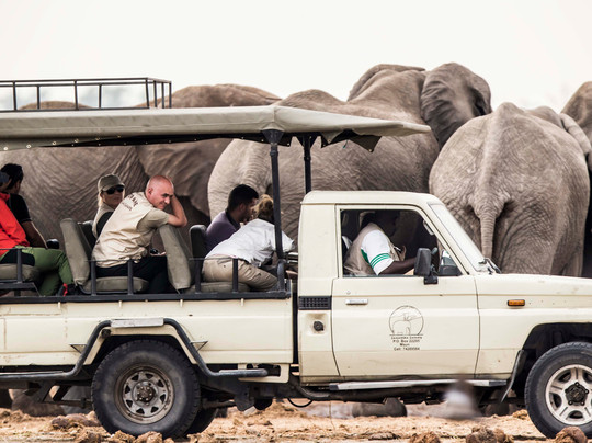 Savute Reserve-Chobe National Park必去景点