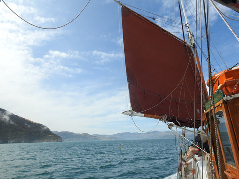 Fox II-阿卡罗阿必去景点