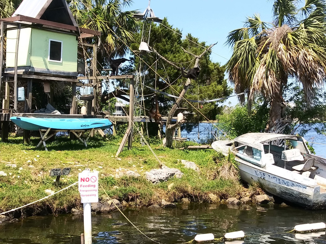 Majestic Manatee Tours - Day Tours-克里斯特尔里弗必去景点