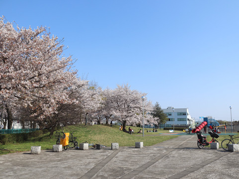 Chofu Airport Playground-三鹰市必去景点