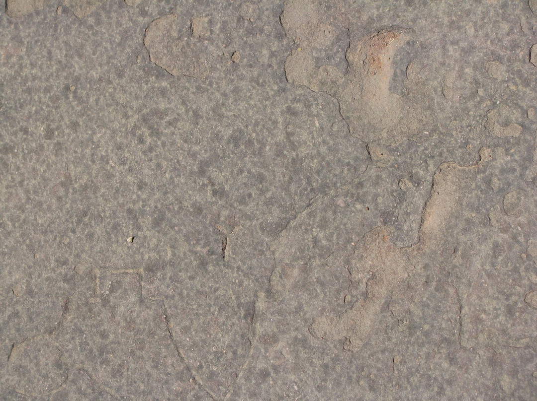 Bhojeshwar Temple-Bhojpur必去景点