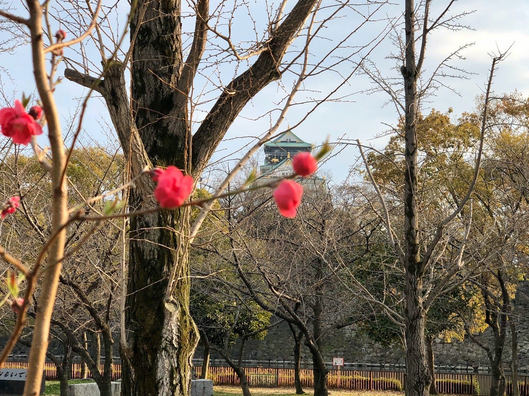 Osaka Castle Peach Grove景点图片