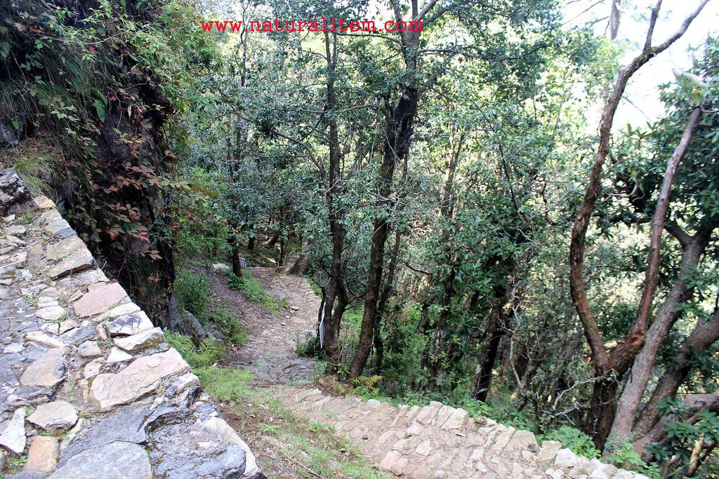 Babaji Cave景点图片
