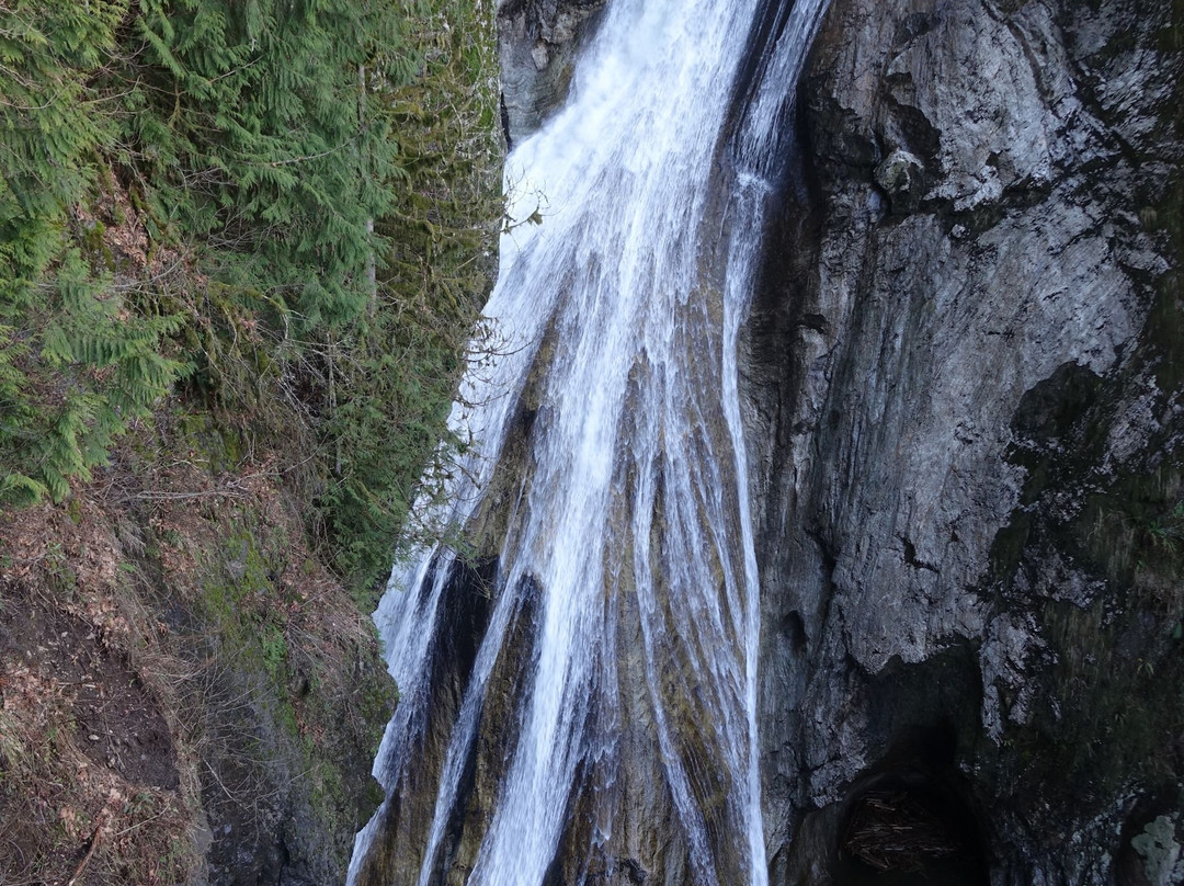 Twin Falls Trail景点图片