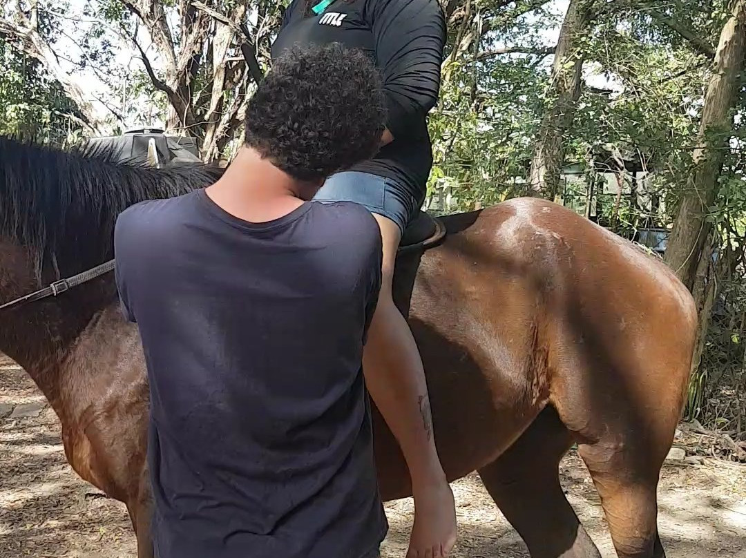 Friendship Riding Stables-Canaan必去景点
