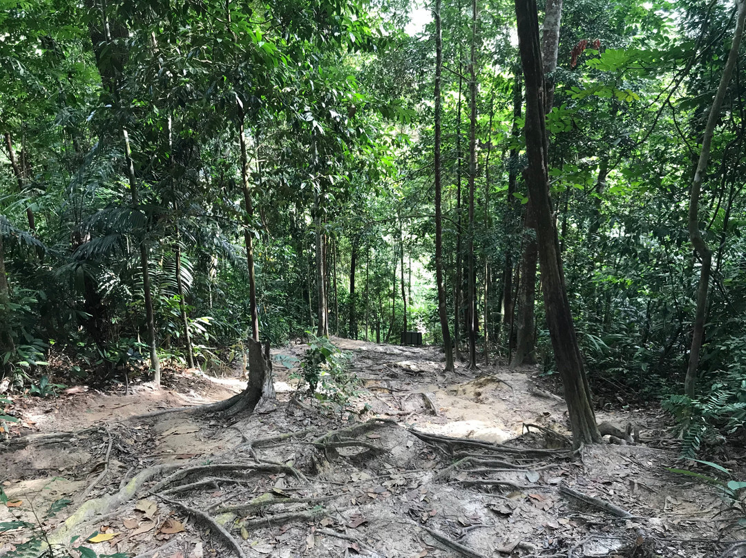 Gunung Angsi景点图片