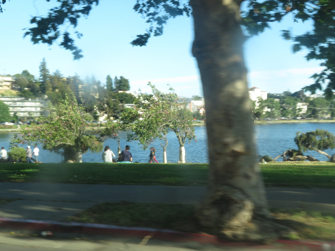 Lakeside Park and Garden Center景点图片