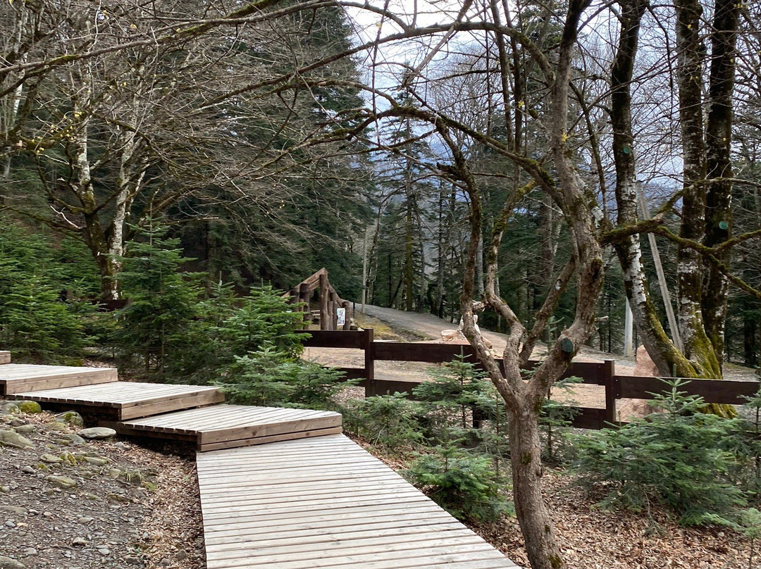 Nature Museum of the Caucasian Biosphere Reserve-Guzeripl必去景点