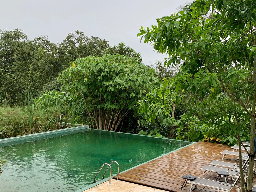 Winika Alterra主图