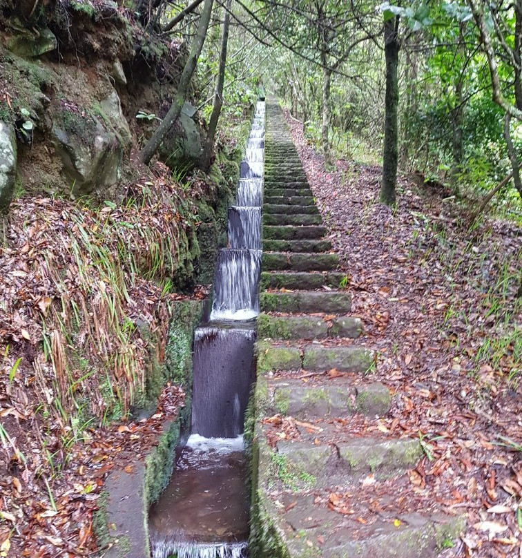 PR11 Vereda dos Balcões-Ribeiro Frio必去景点