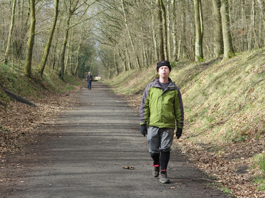 Chopwell Wood-Chopwell必去景点