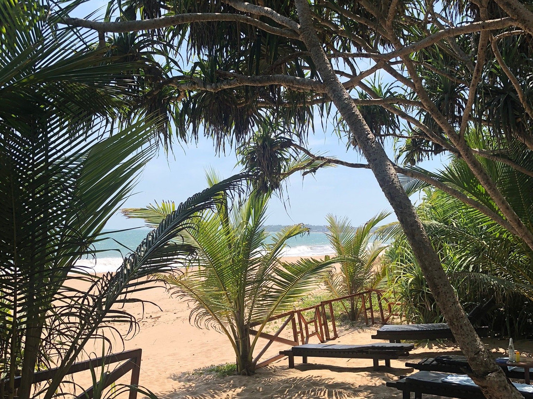 Golden Beach Paradise主图