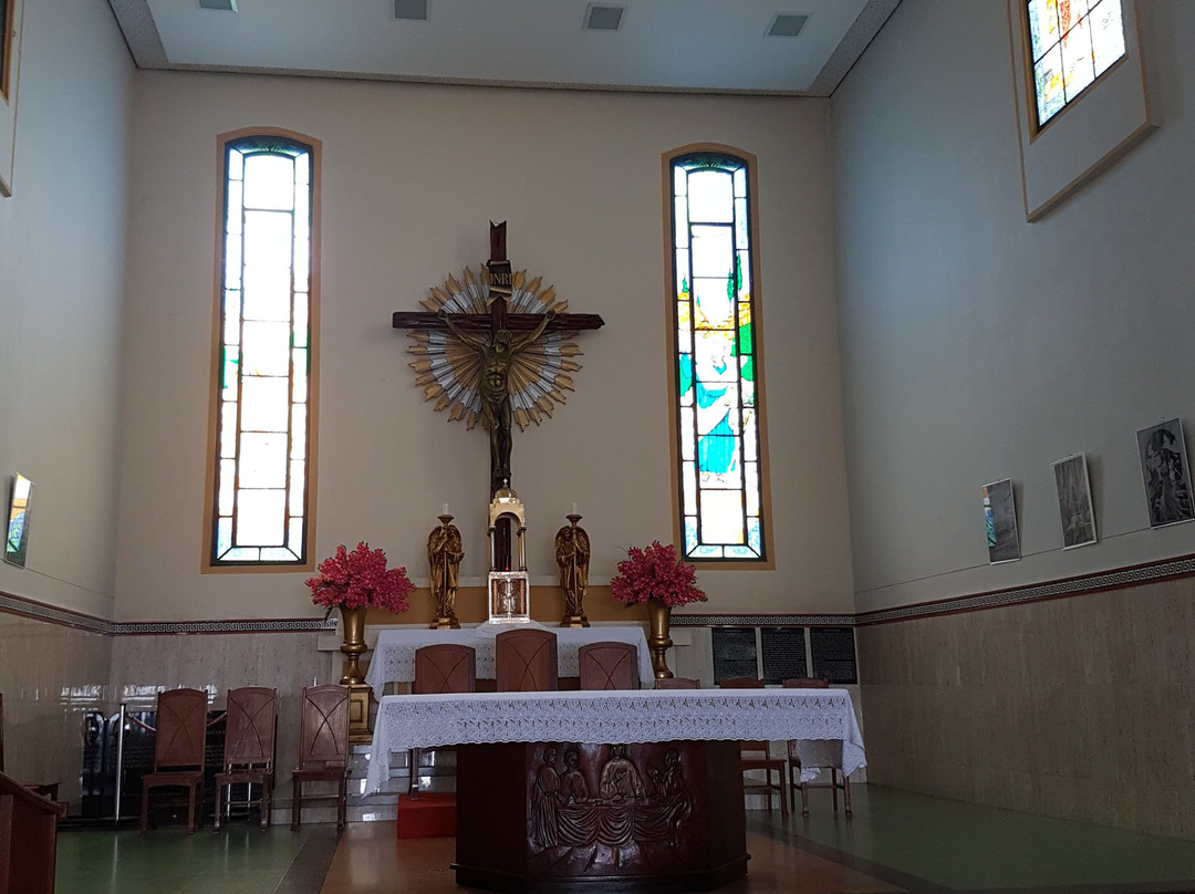 Catedral Metropolitana Nossa Senhora da Conceição景点图片