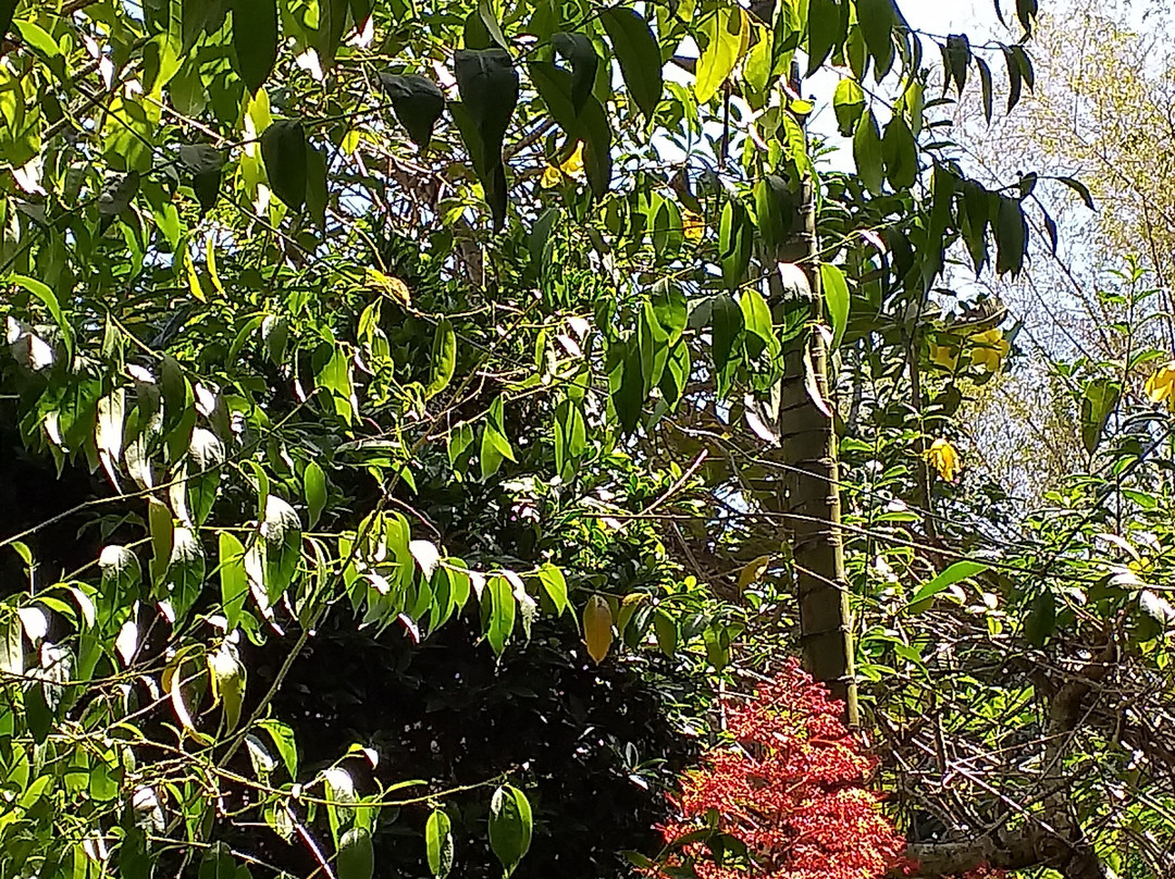 佩尼拉海滨度假胜地酒店主图